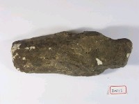 早坂犀尺骨近端藏品圖，第2張